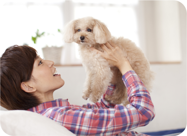 スライドショー