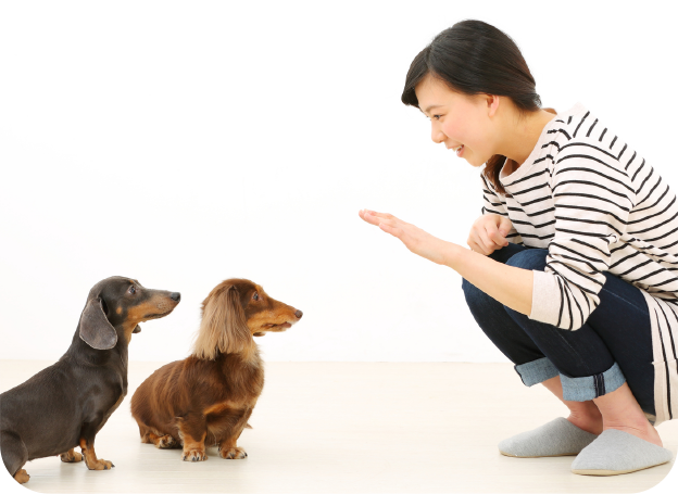 スライドショー