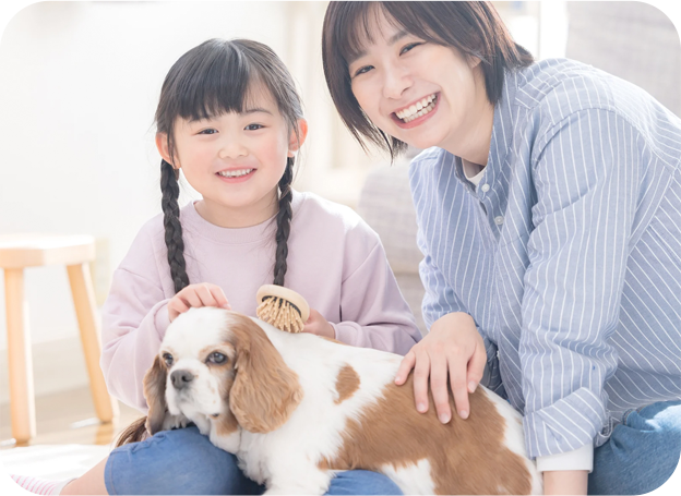 スライドショー